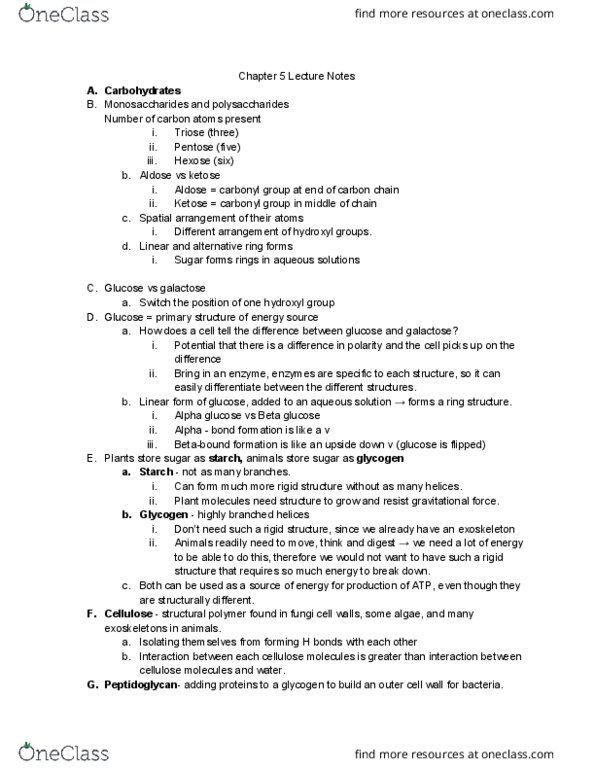 BIOL 1107 Lecture Notes - Lecture 5: Linear Form, Oligosaccharide, Glycogen thumbnail