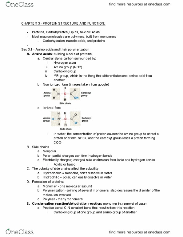 BIOL 1107 Chapter Notes - Chapter 3: Ammonia, Semipermeable Membrane, Cell Nucleus thumbnail