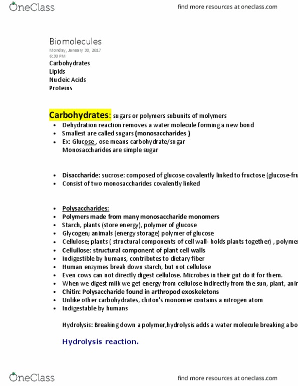 BIOL 111 Lecture Notes - Lecture 4: Dietary Fiber, Disaccharide, Triglyceride thumbnail