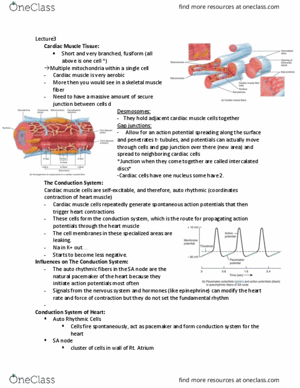 document preview image