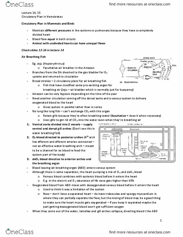 BIOLOGY 3XL3 Chapter Notes - Chapter 9: Sinus Venosus, Blood Pressures, Oncotic Pressure thumbnail