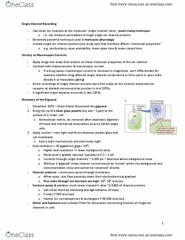 BIOLOGY 3P03 Lecture Notes - Lecture 6: Systems Biology, Pipette, System For Information On Grey Literature In Europe thumbnail