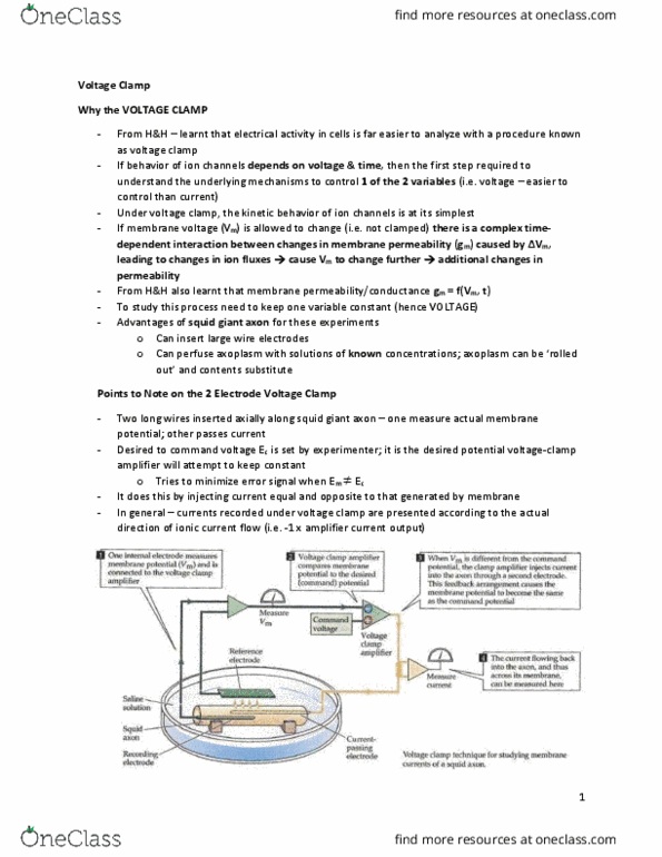 BIOLOGY 3P03 Lecture 5: Voltage Clamp thumbnail