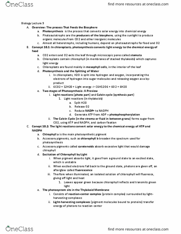 01:119:115 Lecture Notes - Lecture 9: Catabolism, Leaf, Radiant Energy thumbnail