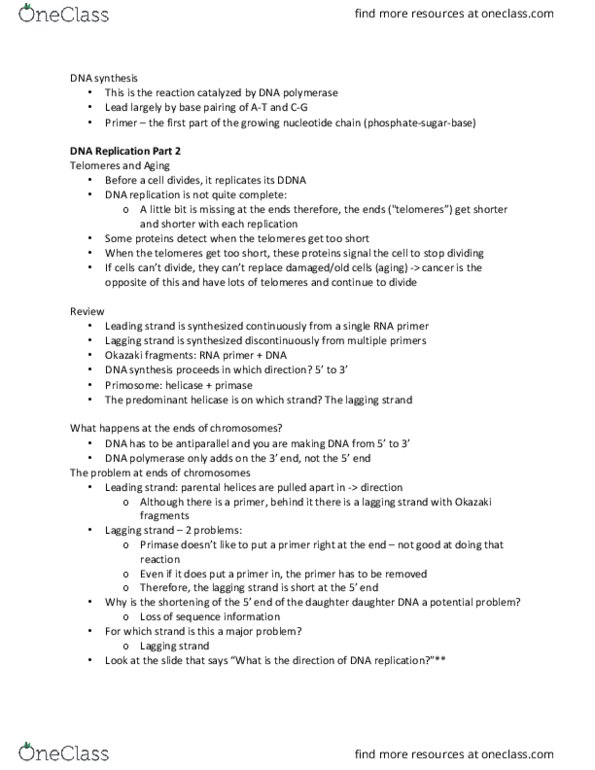 BIO130H1 Lecture Notes - Lecture 8: Ribose, Primase, Telomere thumbnail