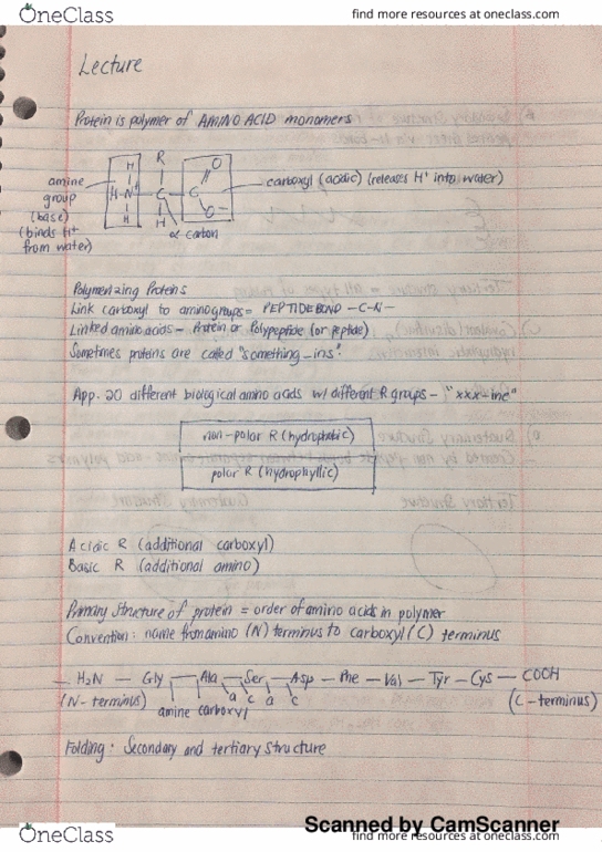 BIOL 107 Lecture 5: Chapter 5 Structure and Function thumbnail