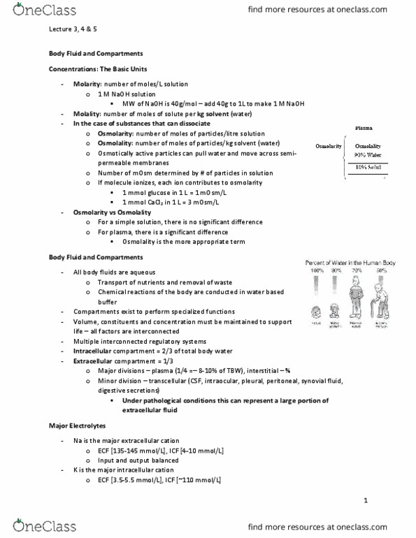 BIOCHEM 3H03 Lecture Notes - Lecture 3: Osmoreceptor, Vasoconstriction, Acidosis thumbnail