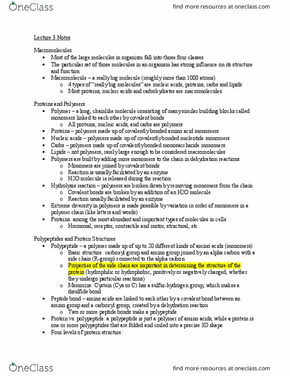 BIOL 211 Lecture Notes - Lecture 3: Maltose, Central Dogma Of Molecular Biology, Uracil thumbnail