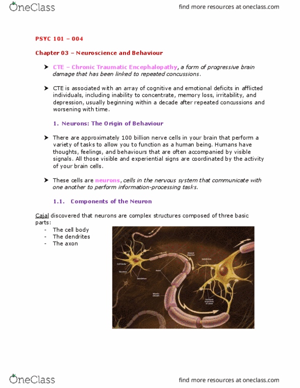 PSYC 101 Chapter Notes - Chapter 3: Pituitary Gland, Sensory Neuron, Myelin thumbnail