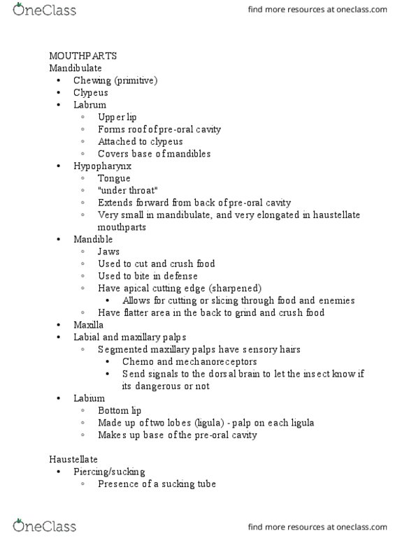 ENTO 210 Lecture Notes - Lecture 4: Clypeus, Mandibulata, Pharynx thumbnail