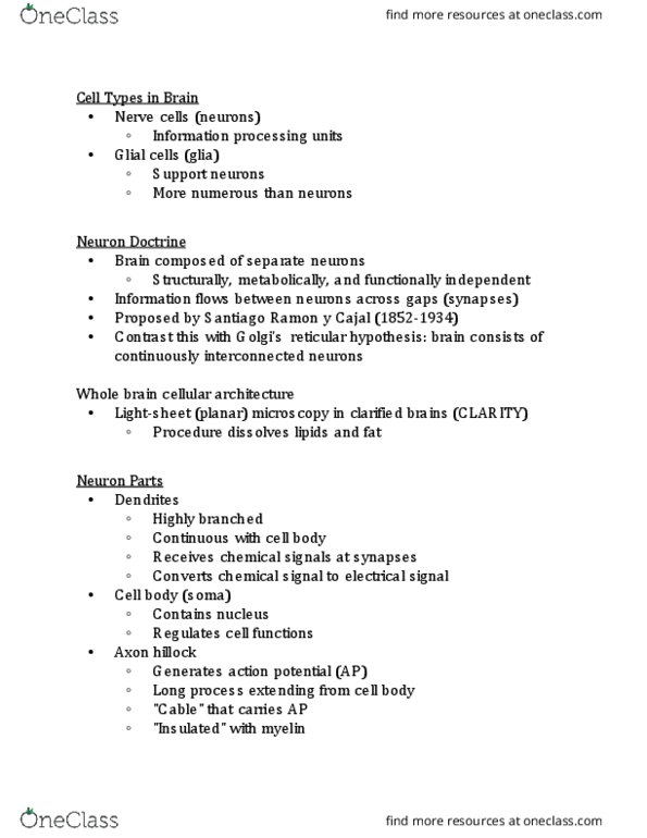 NRSC 335 Lecture Notes - Lecture 5: Myelin, Axon Hillock, Peripheral Nervous System thumbnail