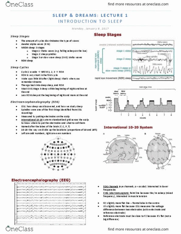 PSY 4327 Lecture Notes - Lecture 1: Slow-Wave Sleep, Theta Wave, Sleep Spindle thumbnail