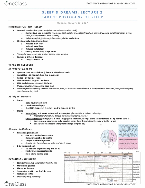 PSY 4327 Lecture Notes - Lecture 2: Little Pocket Mouse, Little Brown Bat, Sleep Deprivation thumbnail