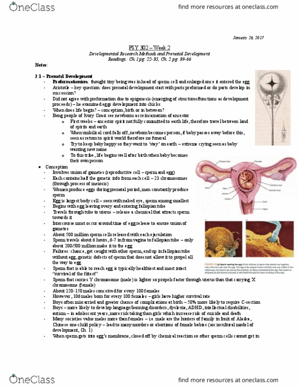 PSY 302 Chapter Notes - Chapter 2: Inner Cell Mass, Prenatal Development, Twin thumbnail