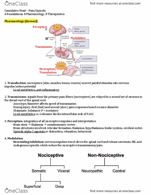 BPS 432 Lecture Notes - Lecture 40: Μ-Opioid Receptor, Nmda Receptor Antagonist, Opioid Receptor thumbnail