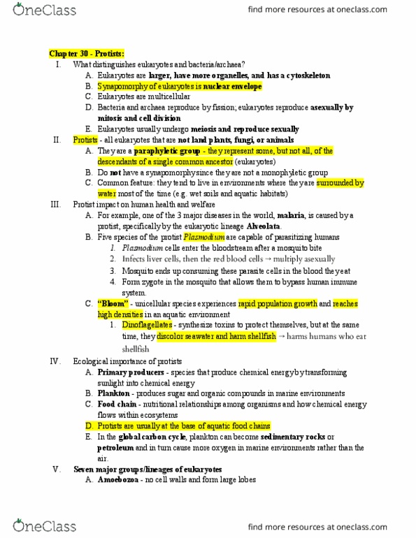 BIO SCI 94 Chapter Notes - Chapter 30: Alveolate, Nuclear Membrane, Heterokont thumbnail