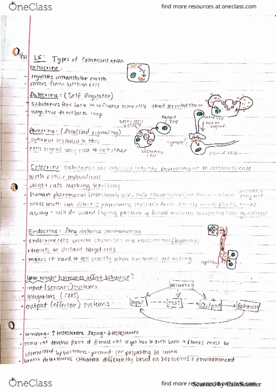 INTEGBI C143B Lecture 5: Types of Communication thumbnail