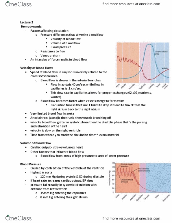 BIO 215 Lecture Notes - Lecture 7: Vascular Resistance, Hemorheology, Cardiac Output thumbnail