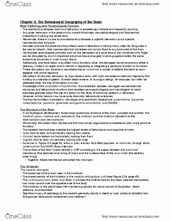 PSYC31H3 Chapter Notes - Chapter 3: List Of Thalamic Nuclei, Basal Ganglia, Medulla Oblongata thumbnail