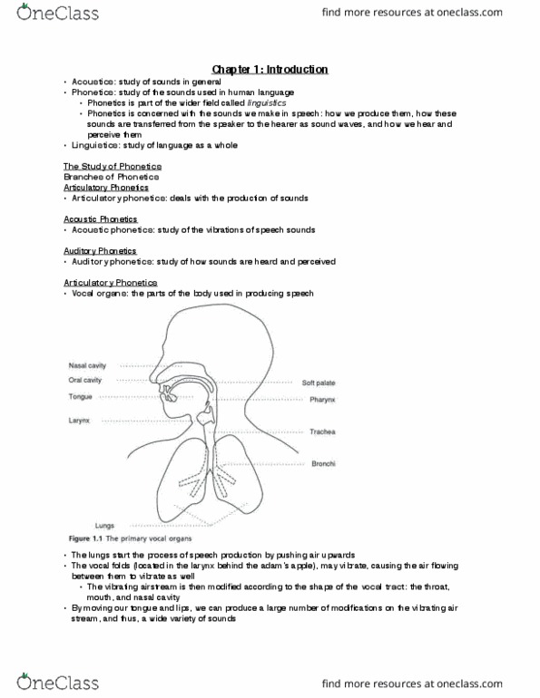 LINB09H3 Chapter Notes - Chapter 1: Articulatory Phonetics, Acoustic Phonetics, Auditory Phonetics thumbnail