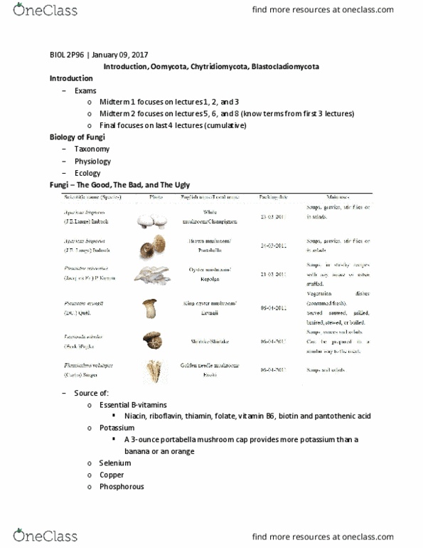 BIOL 2P96 Lecture Notes - Lecture 1: Fusarium Venenatum, Aspergillus Oryzae, Saccharomyces Cerevisiae thumbnail