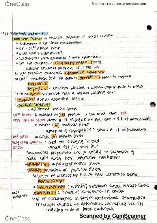 BIO SCI E183 Lecture 6: Bio E183 - Lecture 6 thumbnail