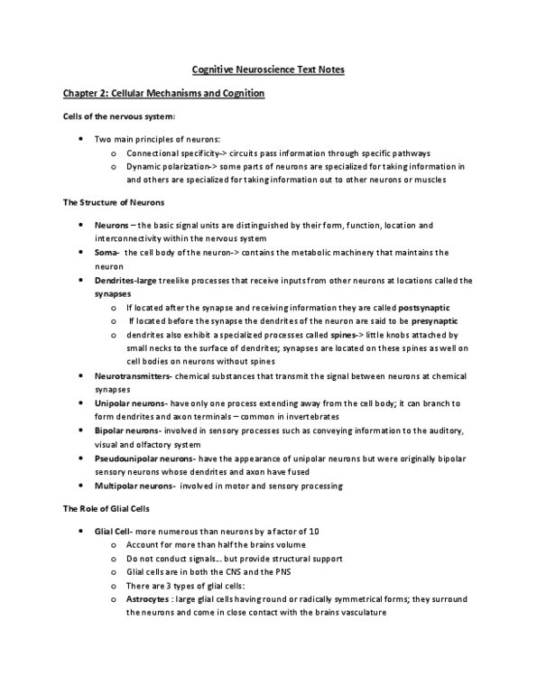 PSYC55H3 Lecture Notes - Oligodendrocyte, Astrocyte, Neuroglia thumbnail