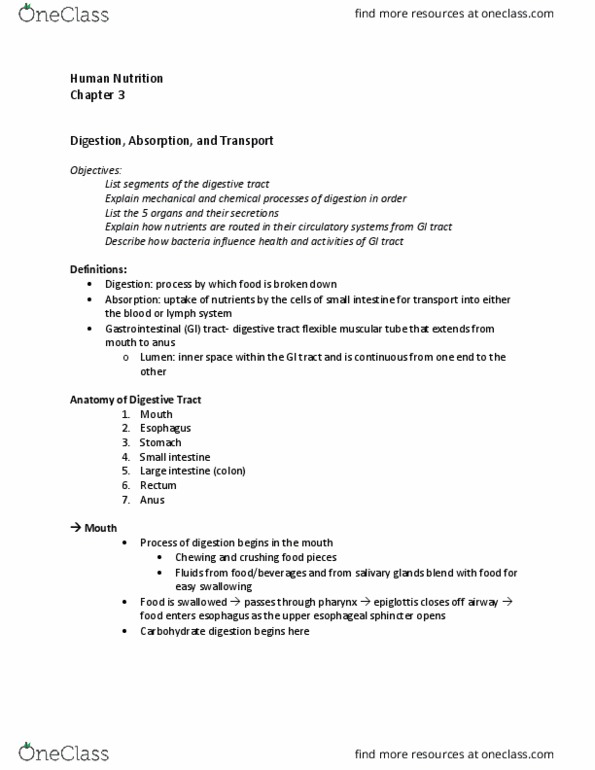 NHM 101 Lecture Notes - Lecture 4: Common Bile Duct, Duodenum, Ileum thumbnail