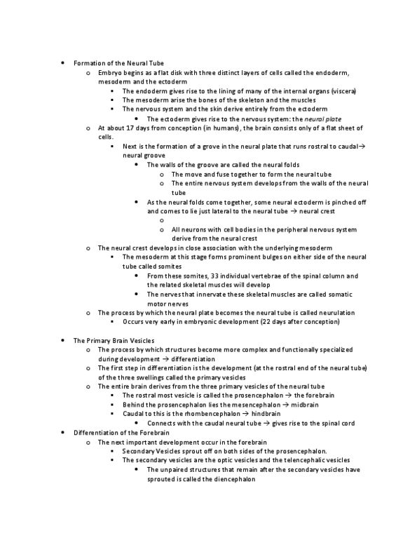 LINGUIST 2PS3 Lecture Notes - Neural Crest, Cerebral Cortex, Neural Tube thumbnail