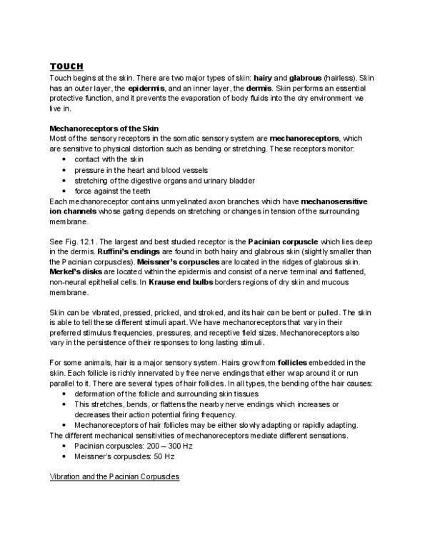 PSYCH 3AB3 Lecture Notes - Lamellar Corpuscle, Dorsal Root Ganglion, Mechanosensitive Channels thumbnail