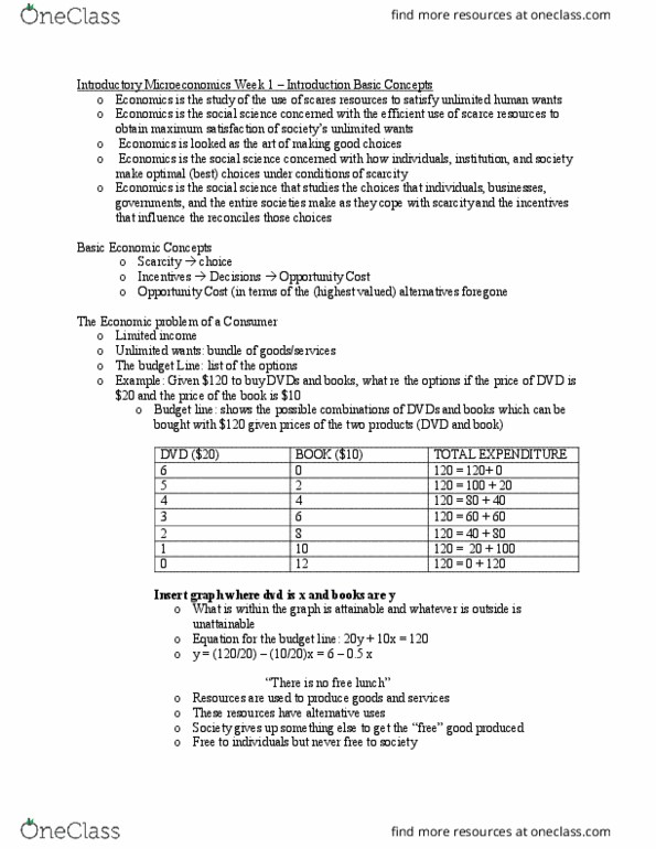 ECN 104 Lecture Notes - Lecture 1: Opportunity Cost, Marginal Cost, Birds Eye View thumbnail