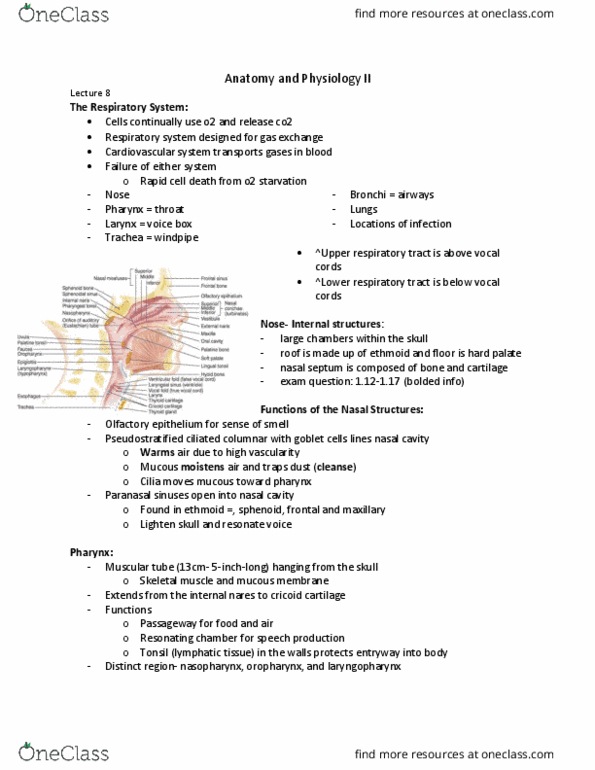 document preview image