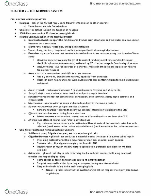 PSYC62H3 Chapter Notes - Chapter 2: Lateral Corticospinal Tract, Autonomic Nervous System, Basal Forebrain thumbnail