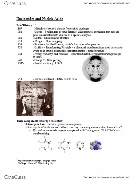CH ENGR 104C Lecture Notes - Lecture 22: Heterocyclic Compound, Glycosidic Bond, Pyrimidine thumbnail