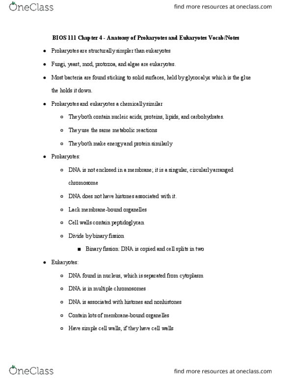 BIOS 111 Chapter Notes - Chapter 4: Streptococcus Pneumoniae, Glycocalyx, Basal Body thumbnail