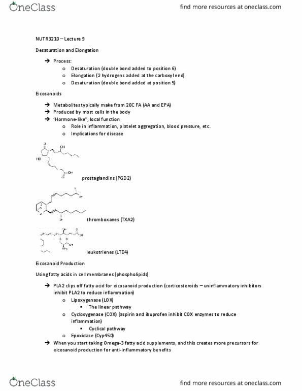 NUTR 3210 Lecture Notes - Lecture 9: Lingual Lipase, Bile Acid, Phospholipase A2 thumbnail