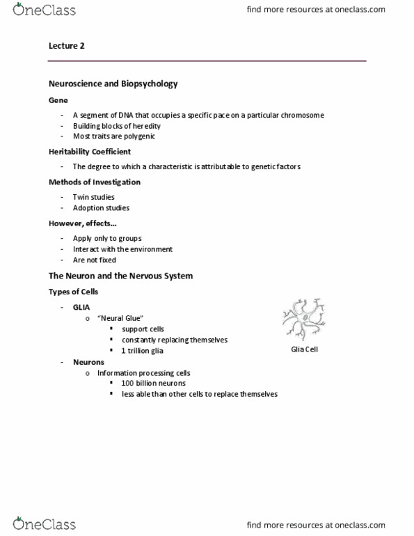 PSYC 1000U Lecture Notes - Lecture 2: Myelin, Central Nervous System, Autonomic Nervous System thumbnail