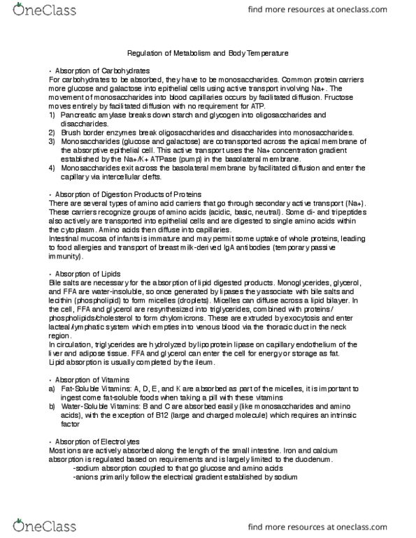 ANP 1107 Lecture Notes - Lecture 6: Lipoprotein Lipase, Bile Acid, Lipid Bilayer thumbnail