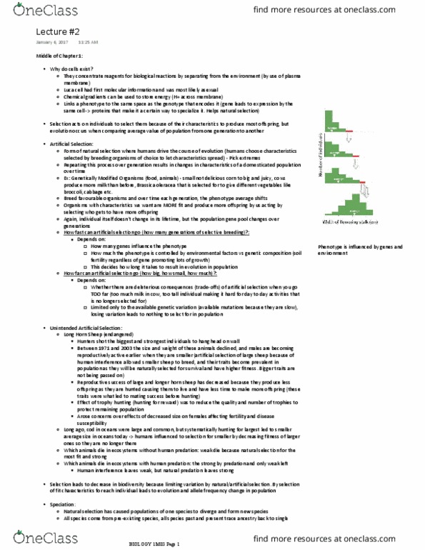 BIOLOGY 1M03 Lecture Notes - Lecture 2: Trophy Hunting, Cell Membrane, Broccoli thumbnail