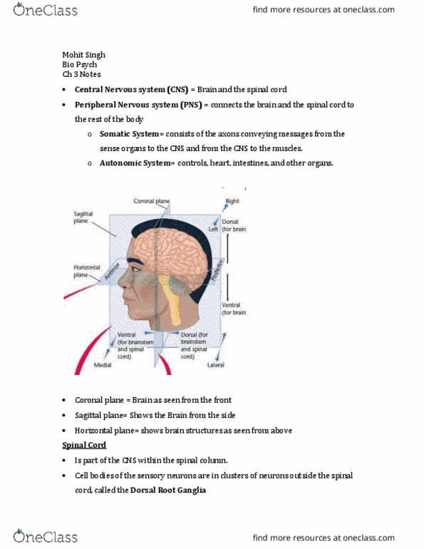 PSYC 2015 Chapter Notes - Chapter 3: Central Nervous System, Inferior Colliculus, Superior Colliculus thumbnail