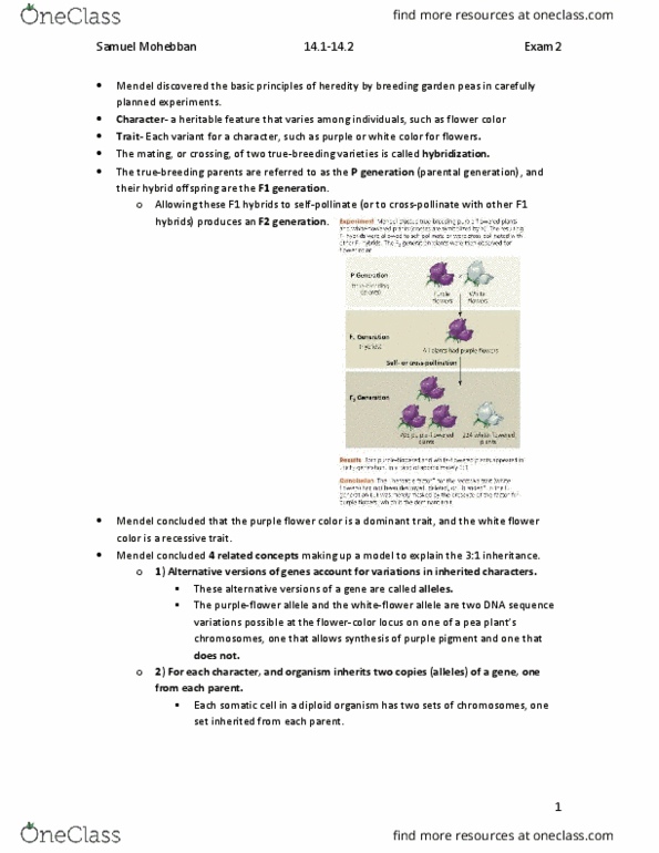 BISC 1111 Chapter Notes - Chapter 14.1-14.2: Heredity, Somatic Cell, Gamete thumbnail