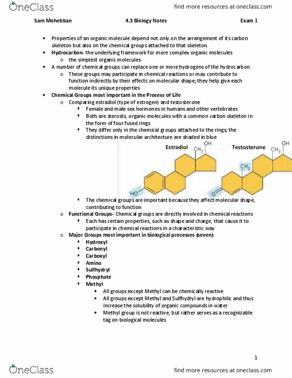 BISC 1111 Chapter Notes - Chapter 4.3: Methyl Group, Organic Compound, Hydroxy Group thumbnail