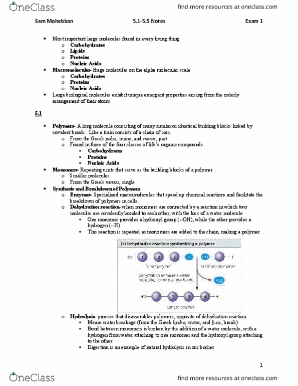 BISC 1111 Chapter Notes - Chapter 5.1-5.5: Saturated Fat, Trans Fat, Dehydration Reaction thumbnail