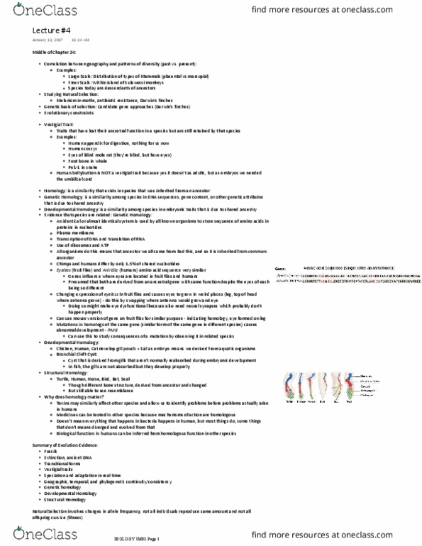 BIOLOGY 1M03 Lecture Notes - Lecture 4: Spalax, Umbilical Cord, Aniridia thumbnail