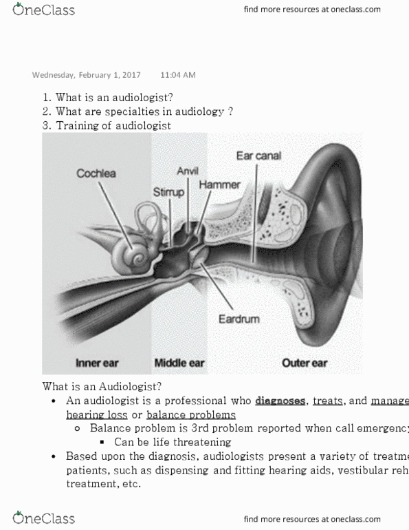 CDS 290 Lecture Notes - Lecture 1: World Health Organization, Conductive Hearing Loss, Intraoperative Neurophysiological Monitoring thumbnail