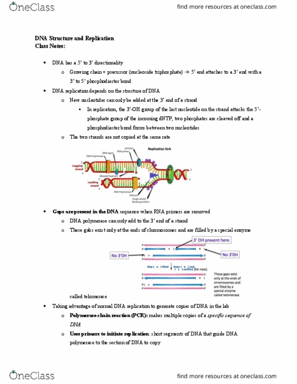 MCDB 2150 Lecture 1: Class 2 dna structure and replication thumbnail