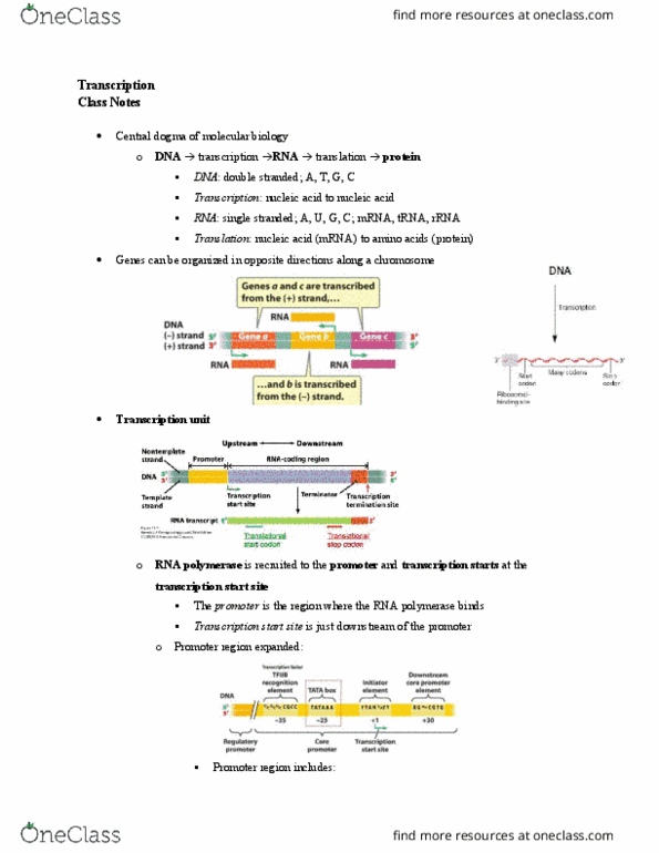 document preview image