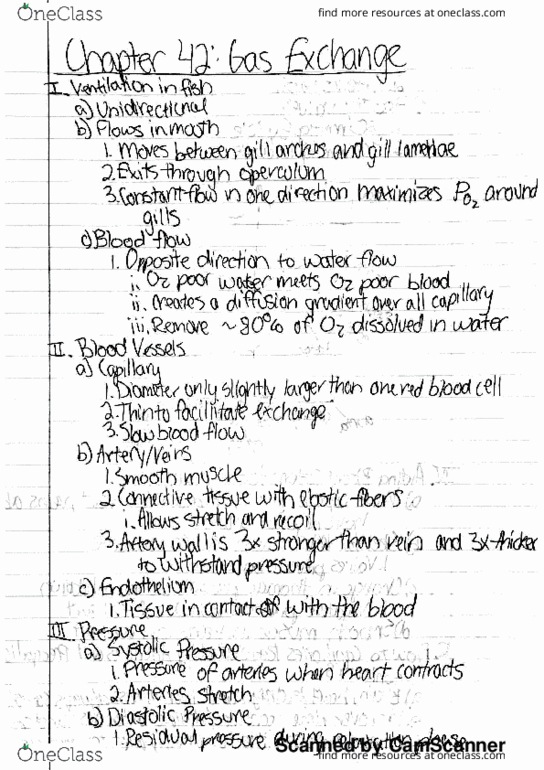 BIOL 240M Lecture 10: Circulation and Gas Exchange thumbnail