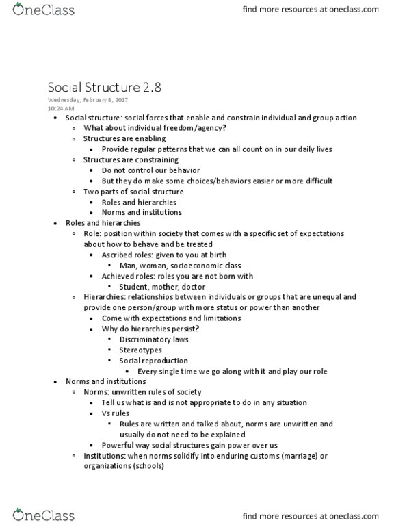 SOCI 1001 Lecture 6: Social Structure 2.8 thumbnail
