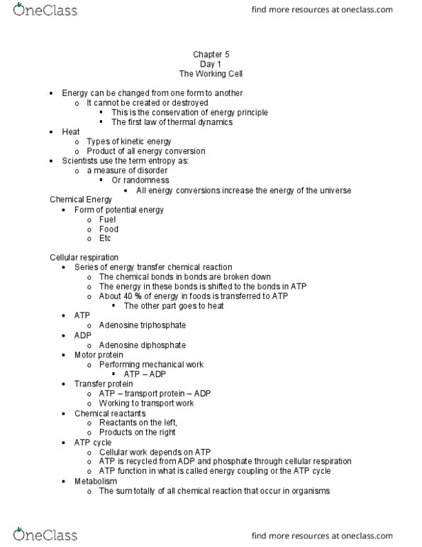 BSC 108 Lecture Notes - Lecture 9: Adenosine Diphosphate, Cellular Respiration, Activation Energy thumbnail